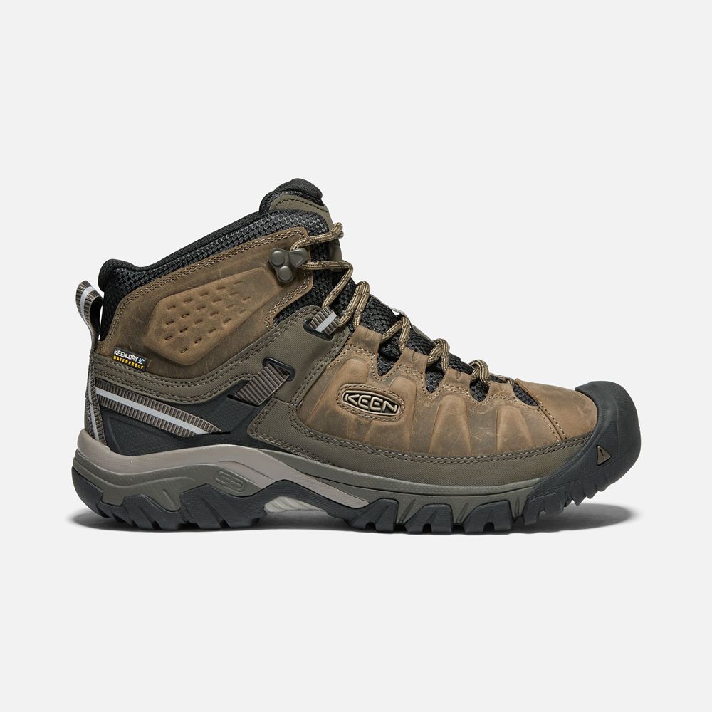 Keen Laarzen Heren Bruin - Targhee Iii Waterproof Mid - 67029-QIRT